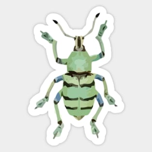 Papuan Green Weevil Digital Painting Sticker